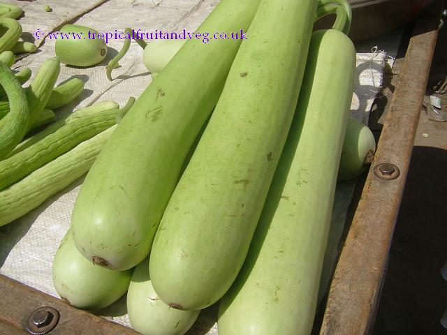 Indian Vegetables Names With Pictures Indian Vegetables Names With Pictures