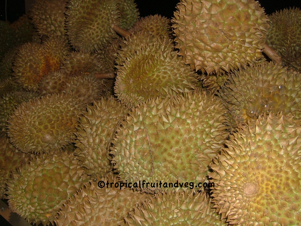 Durian image